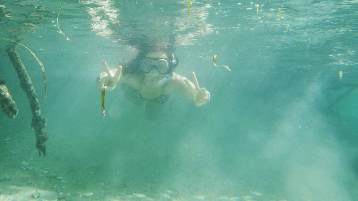 grand cul de sac marin