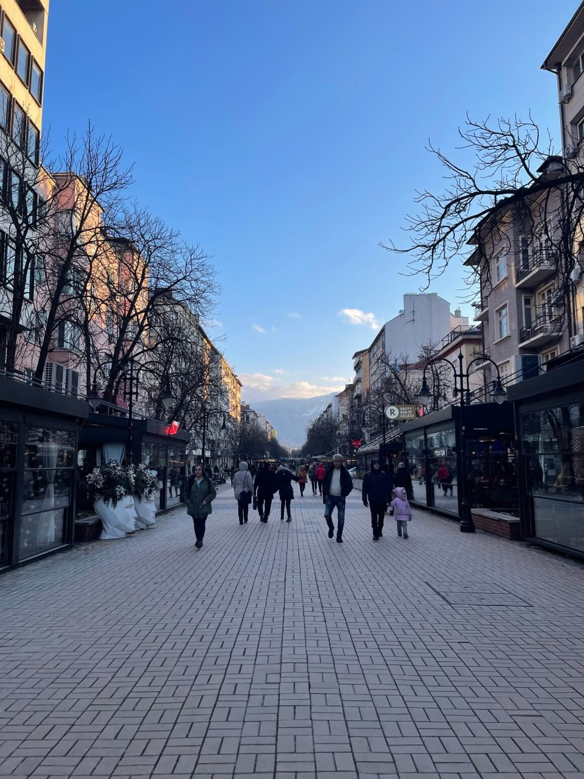 BOULEVARD VITOSHA