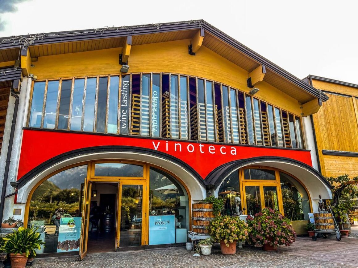 Assaggiare i vini biologici della cantina Pisoni