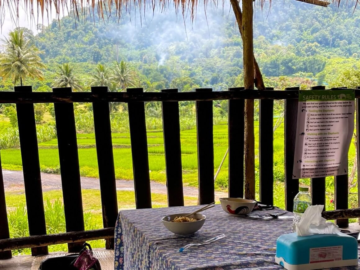 Elephant park vista pranzo