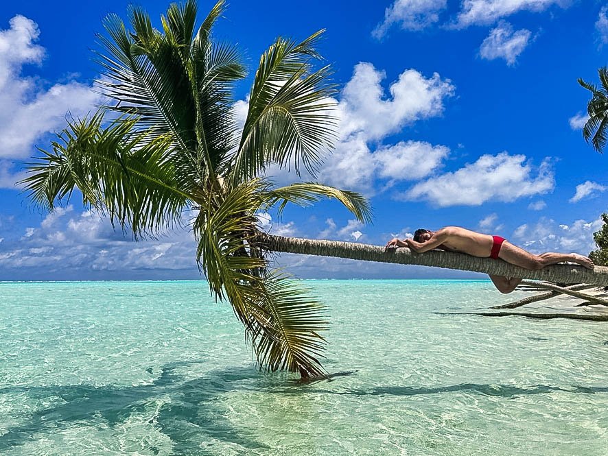 palma sull'isola di fotteyo
