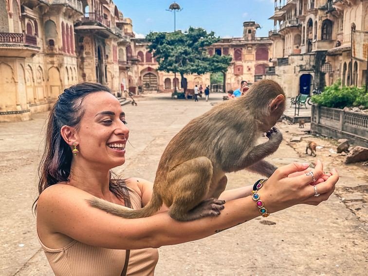 Tempio delle scimmie di Galta ji