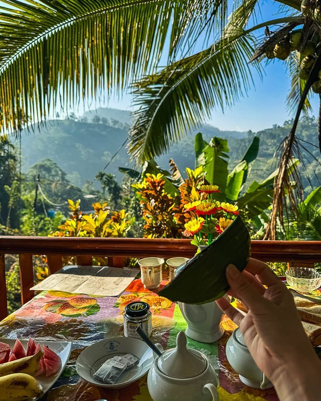 Hotel - Saddle cottage