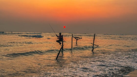 Stilt Fishermen ,come la maggior parte delle tradizioni, la pesca sui trampoli nello Sri Lanka è nata per necessità