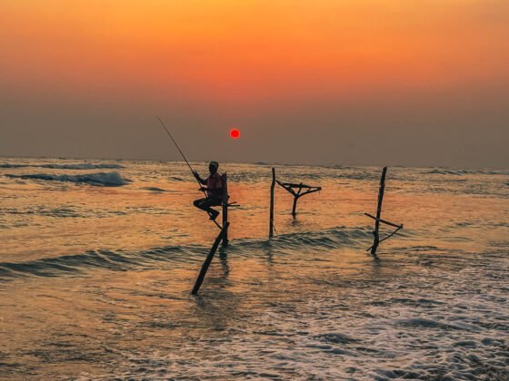 Stilt Fishermen ,come la maggior parte delle tradizioni, la pesca sui trampoli nello Sri Lanka è nata per necessità