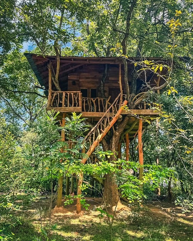 Hotel - Lotus eco villa