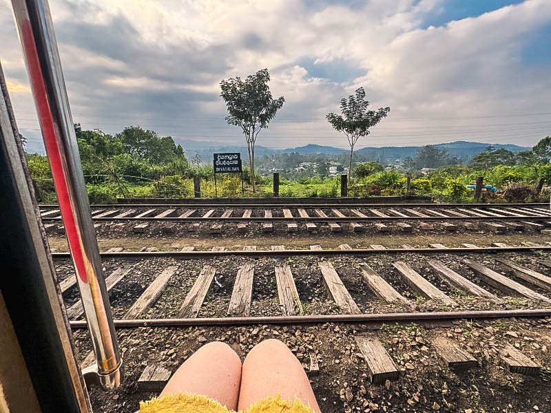 Vista sulle piantagioni di the nel treno panoramico per Ella in Sri Lanka