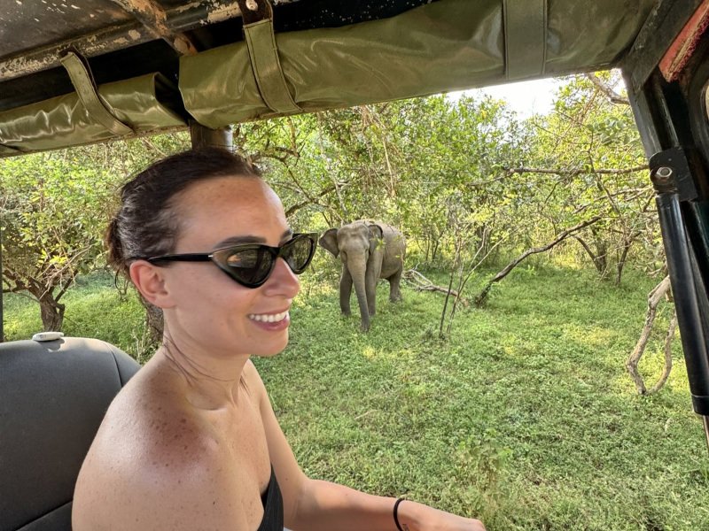 Safari con avvistamento elefanti, Yala National Park