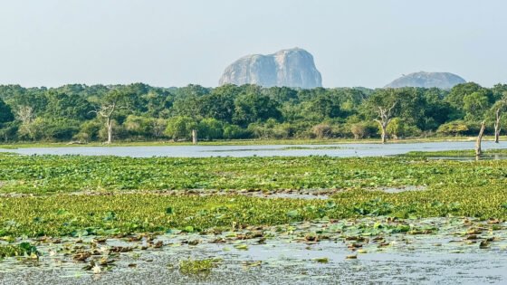 Elephant Rock, Yala National Park