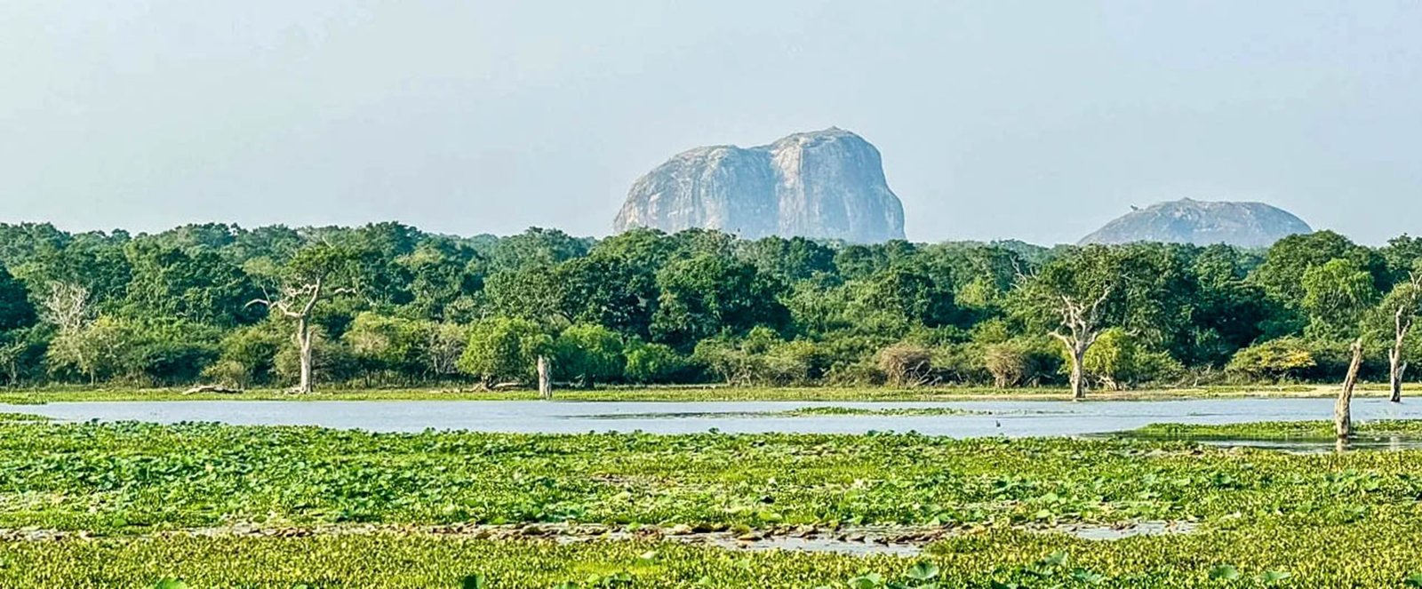 Elephant Rock, la famosa roccia a forma di elefante, Yala National Park