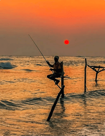 Stilt Fishermen ,come la maggior parte delle tradizioni, la pesca sui trampoli nello Sri Lanka è nata per necessità