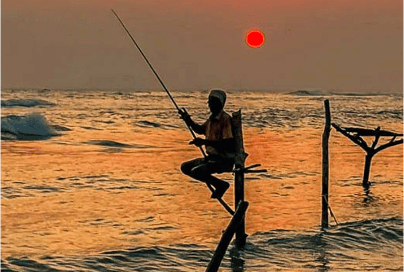 Stilt Fishermen ,come la maggior parte delle tradizioni, la pesca sui trampoli nello Sri Lanka è nata per necessità