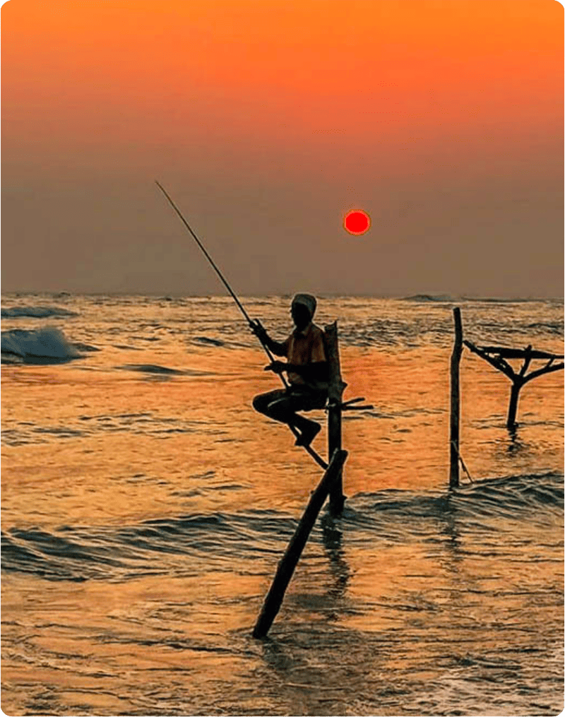 Stilt Fishermen ,come la maggior parte delle tradizioni, la pesca sui trampoli nello Sri Lanka è nata per necessità