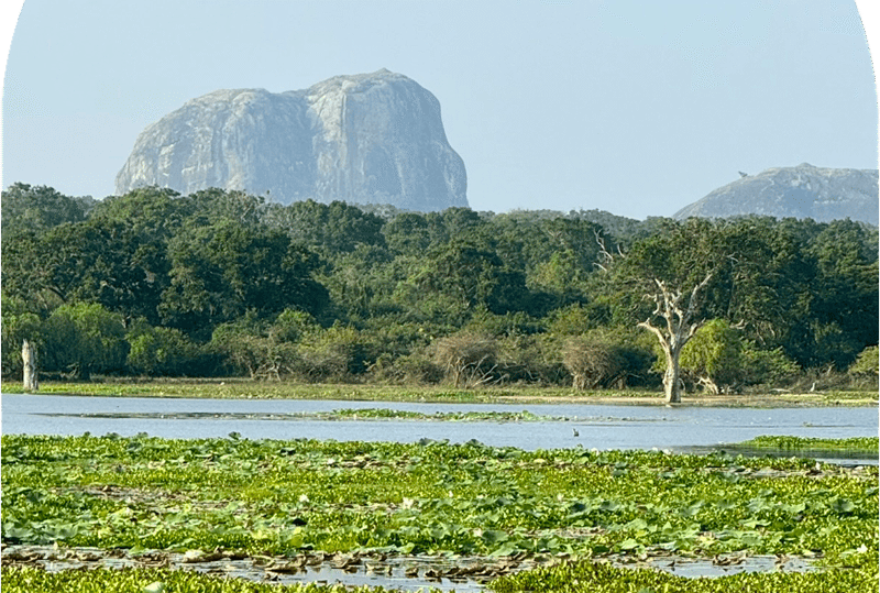 Elephant Rock, la famosa roccia a forma di elefante, Yala National Park
