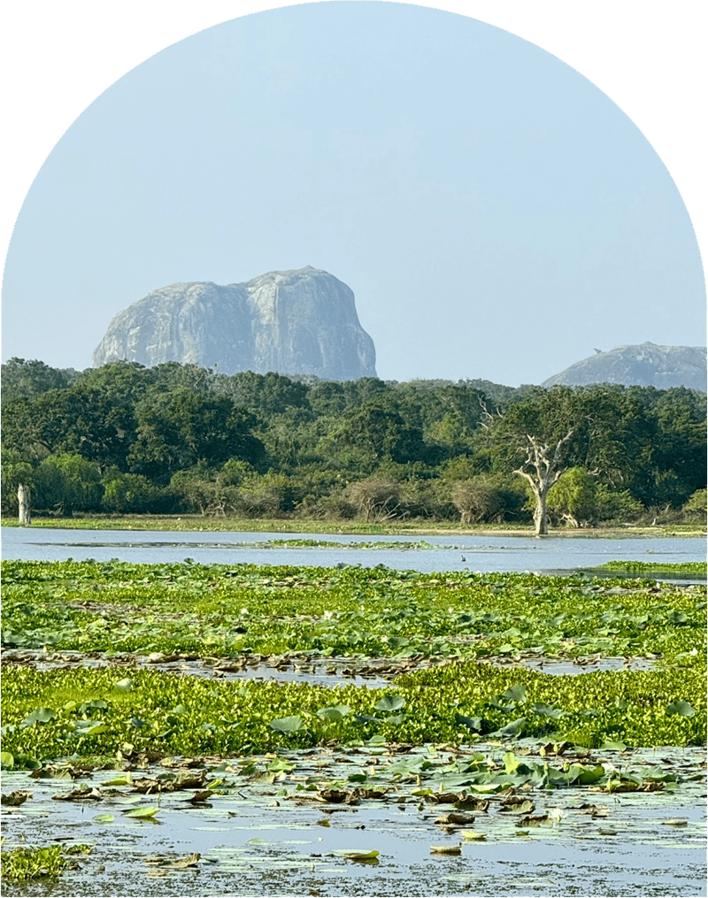 Elephant Rock, la famosa roccia a forma di elefante, Yala National Park